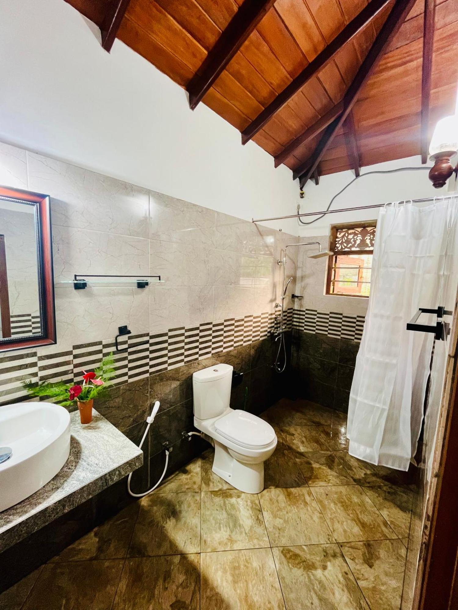 Villa Roy بينتوتا المظهر الخارجي الصورة