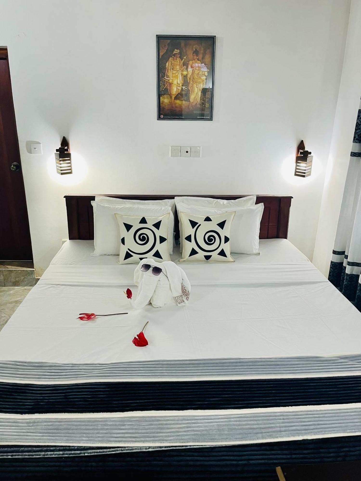 Villa Roy بينتوتا المظهر الخارجي الصورة