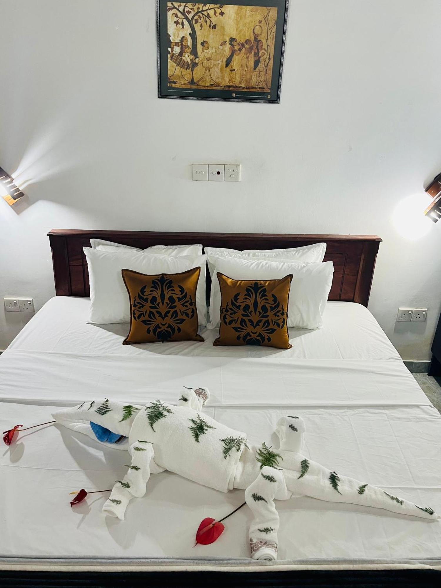 Villa Roy بينتوتا المظهر الخارجي الصورة