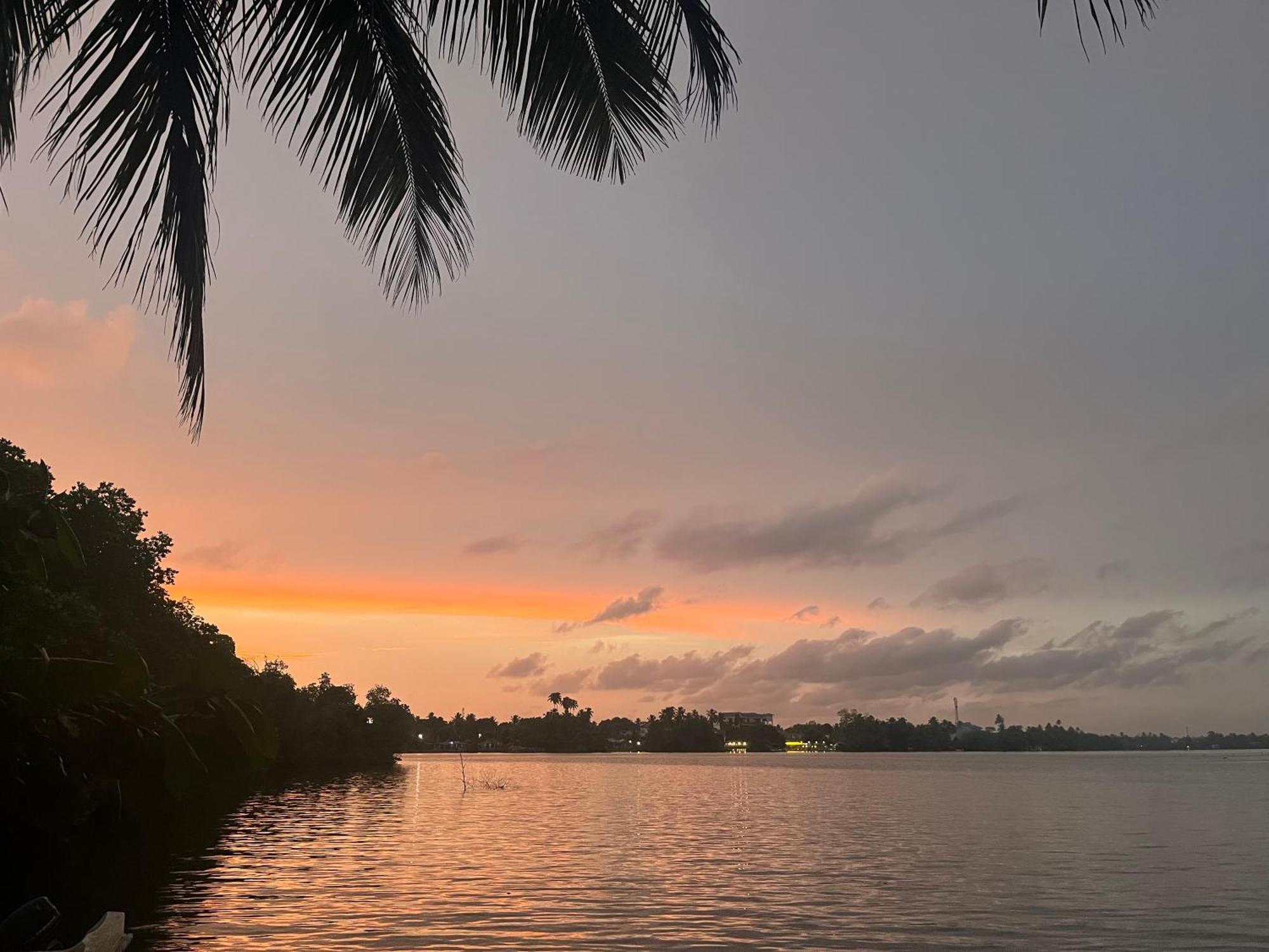 Villa Roy بينتوتا المظهر الخارجي الصورة